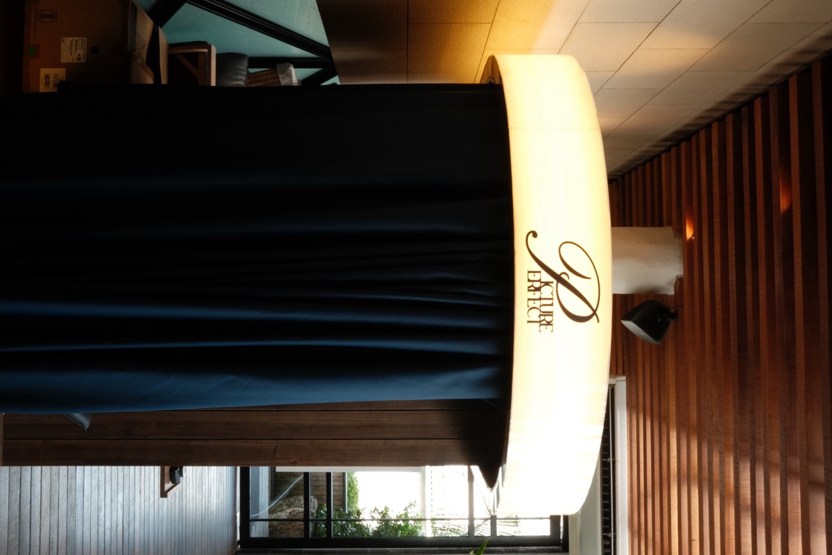 Picture Perfect photobooth at Juni Bar & Lounge